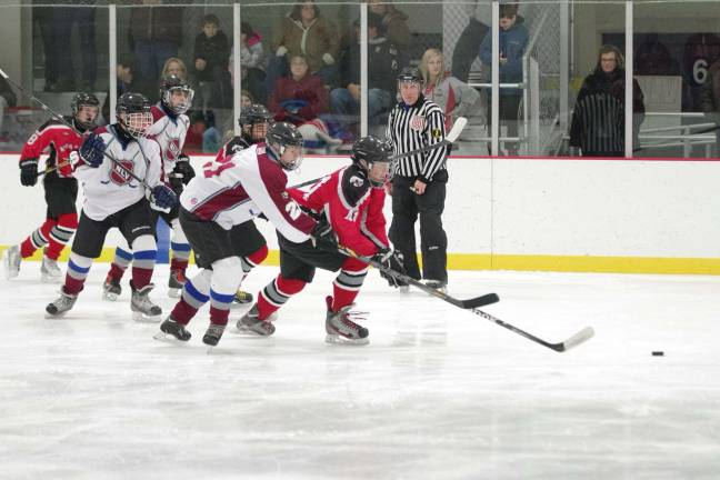 IMAGES FROM THE HOCKEY GAME