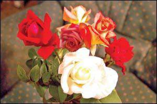 Everything's coming up roses at garden club