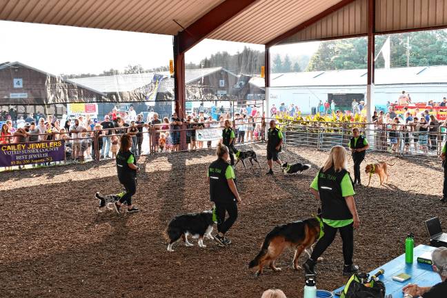 <b>The Puppy-Wuppy Dog Obedience Team performs Sunday, Aug. 3. (Photo by Maria Kovic)</b>