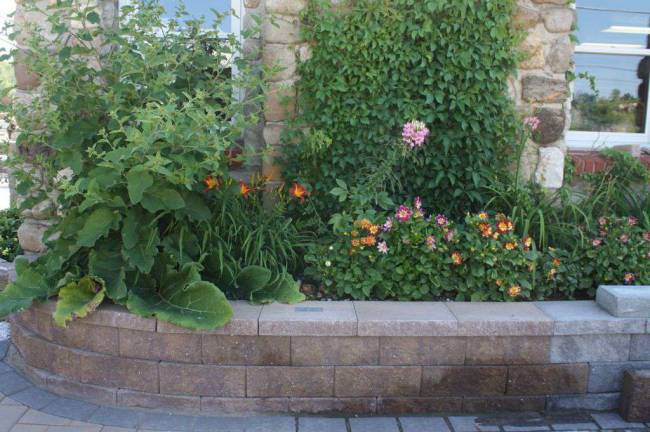 Retaining wall with a garden