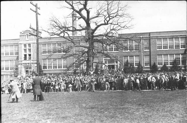 The oak tree in front of Franklin school.