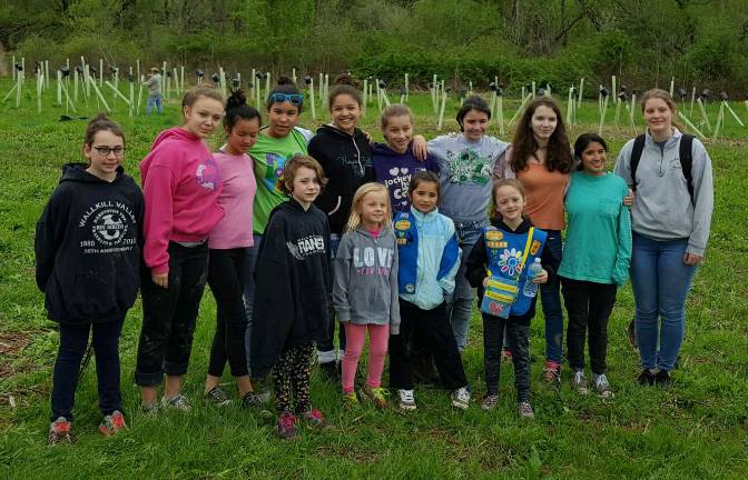 Girl Scouts hold tree-planting event