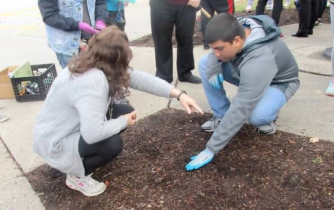 Wallkill Valley students plant 100 red tulips