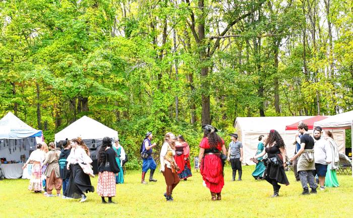 A dance circle at the festival.