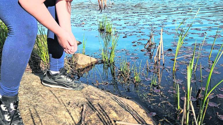 Hardyston student competes in national Junior Ranger contest