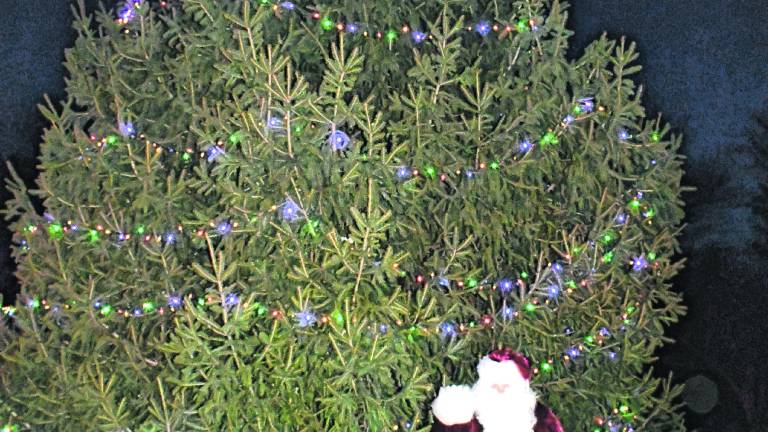 Santa Claus is shown in front of a Christmas tree.