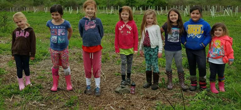 Girl Scouts hold tree-planting event