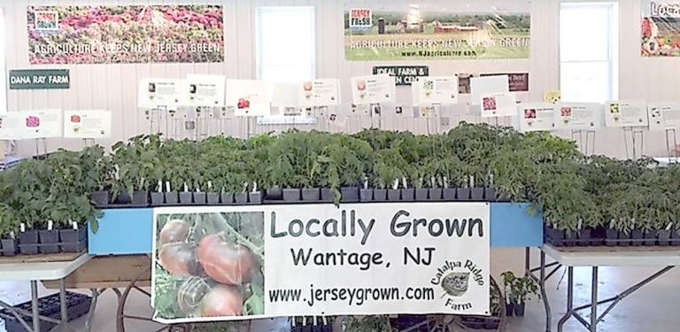 The 19th annual Heirloom Tomato &amp; Veggie Plant Sale at The Sussex Farmers Market