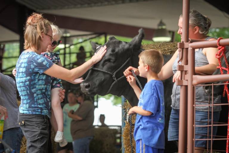 $!The ultimate staycation: nine days of affordable family fun at the fair