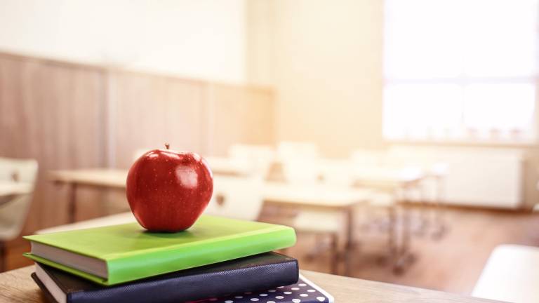 How local districts vary in size and spending