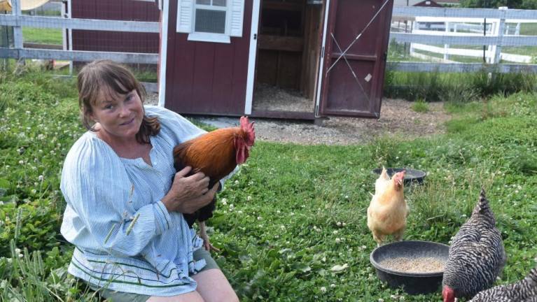 Gabrielle Stubbert, co-founder and executive director of Tamerlaine Farm Animal Sanctuary in Montague, N.J., with Lennon the rooster, who was delighted when four hens – Salt N Pepa, Agave and Honey – arrived recently to keep him company. The sanctuary is full and having to turn away chickens. (Photo by Becca Tucker)