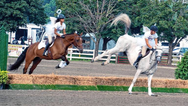<b>The horse show Tuesday, Aug. 5. (Photo by Nancy Madacsi)</b>