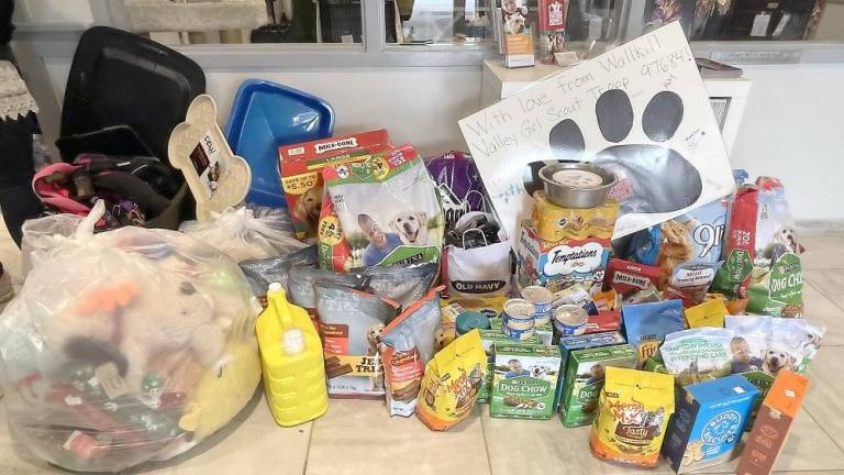 Wallkill Valley Girl Scouts collect donations for homeless animals