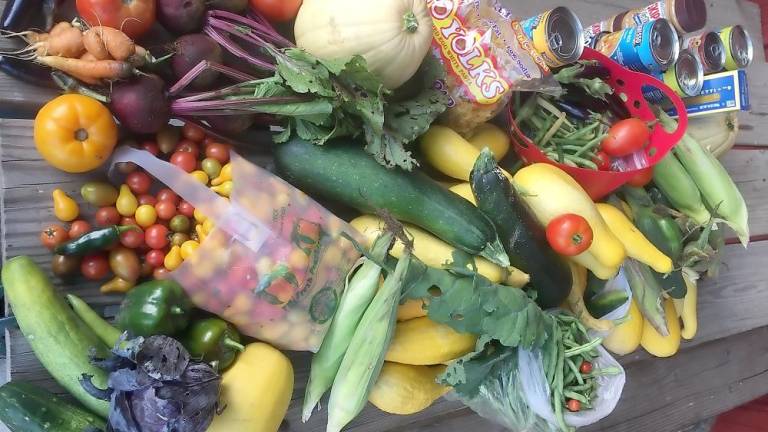 An assortment of fresh produce provided by Waterloo Neighborhood Pantry (Photo provided by Waterloo Neighborhood Pantry)