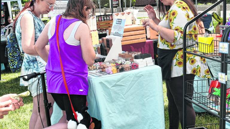 Visitors check out a booth at Ogdensburg.
